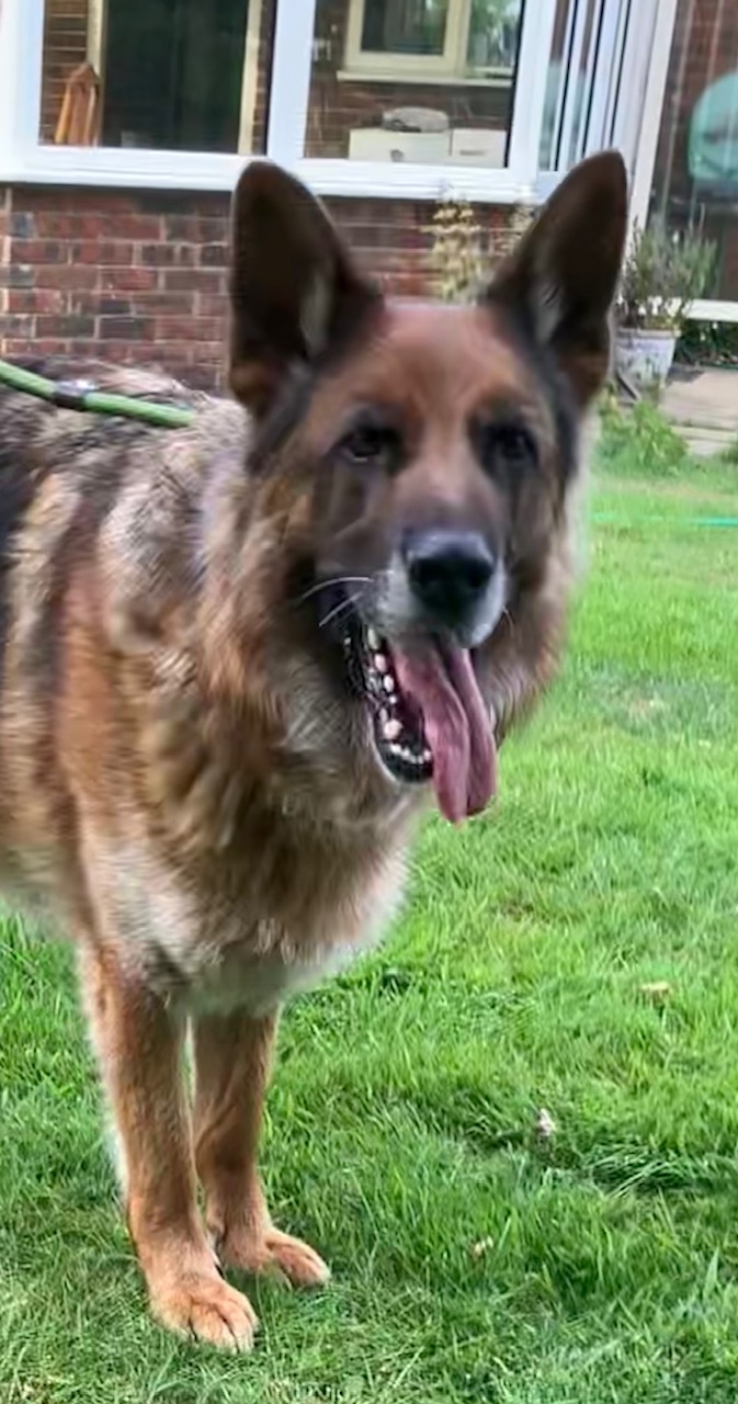 LUCY - KENT